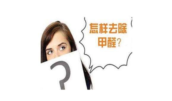 ?硅藻泥真的可以除甲醛嗎？