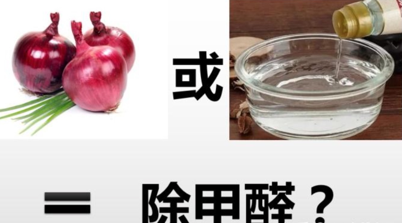 洋蔥和醋能除甲醛嗎？