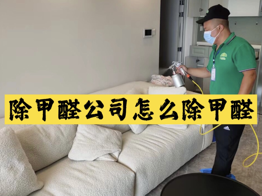 除甲醛公司怎么除甲醛？