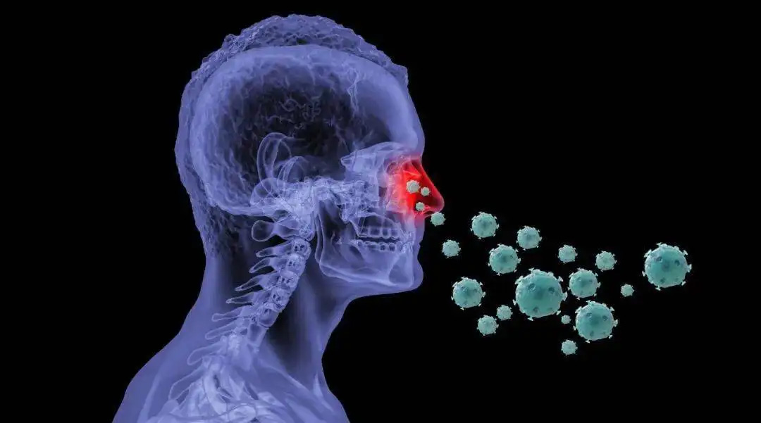 鼻病毒感染是什么引起的，日常消毒殺菌有用嗎？