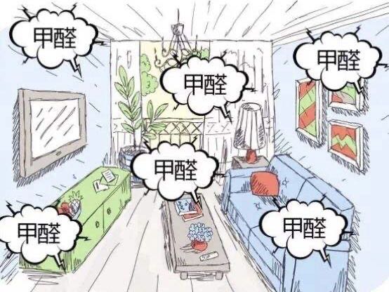 快速入住新家，除甲醛救星！