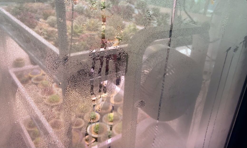 濕度過高或者過低有什么危害？