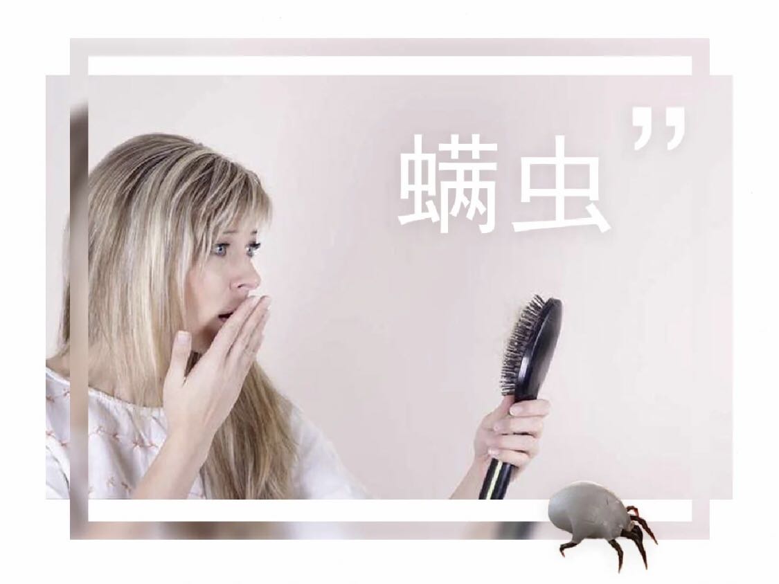 螨蟲、微生物、微塵