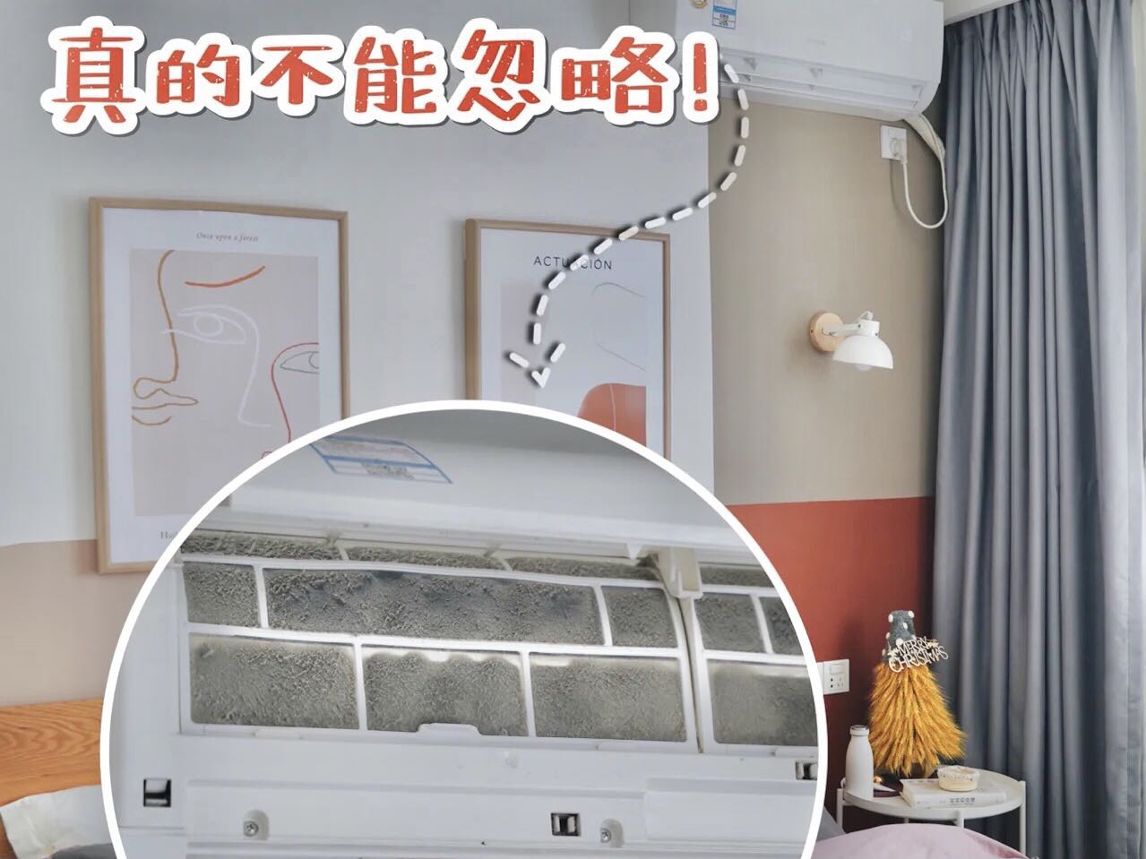 細菌