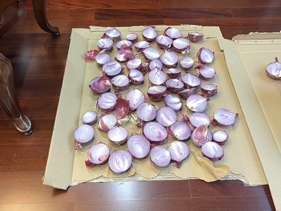 為什么不推薦洋蔥除甲醛？