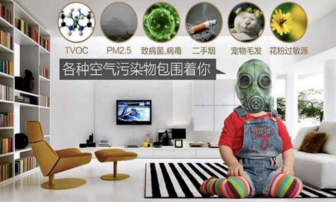 微生物、細(xì)菌、病毒