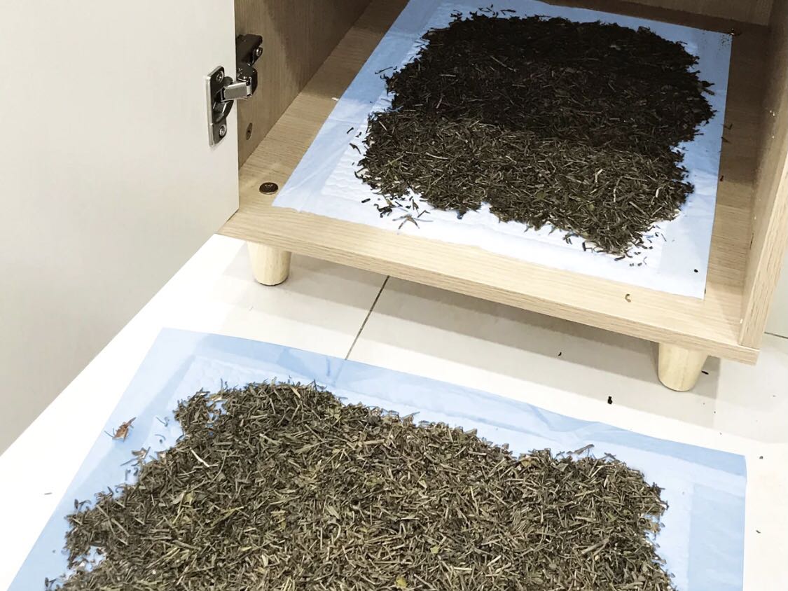 不能，茶葉不能去甲醛。
