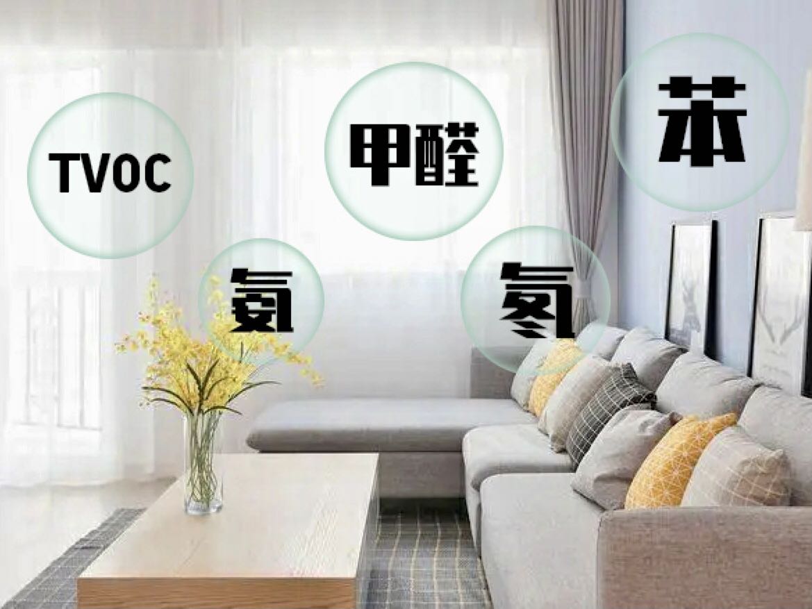 長期居家，這些室內健康隱患要警惕
