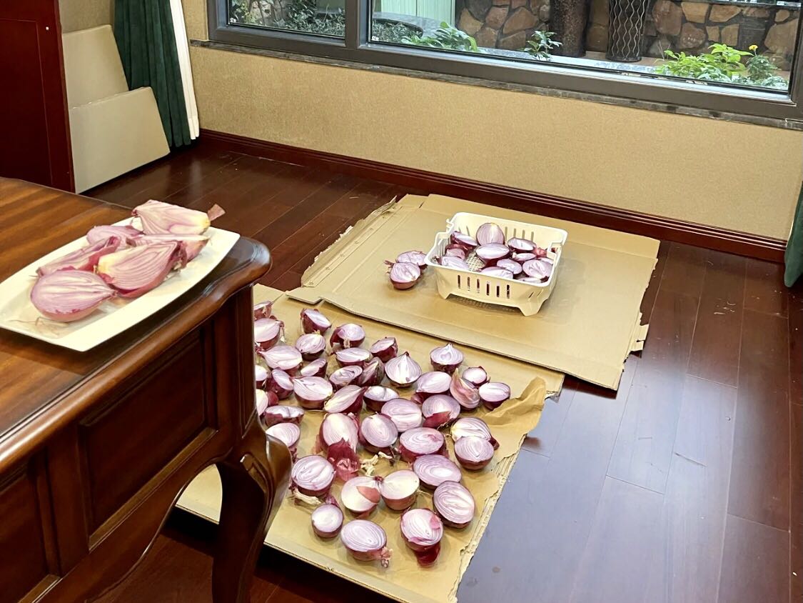 完全無用的六個除甲醛土方法