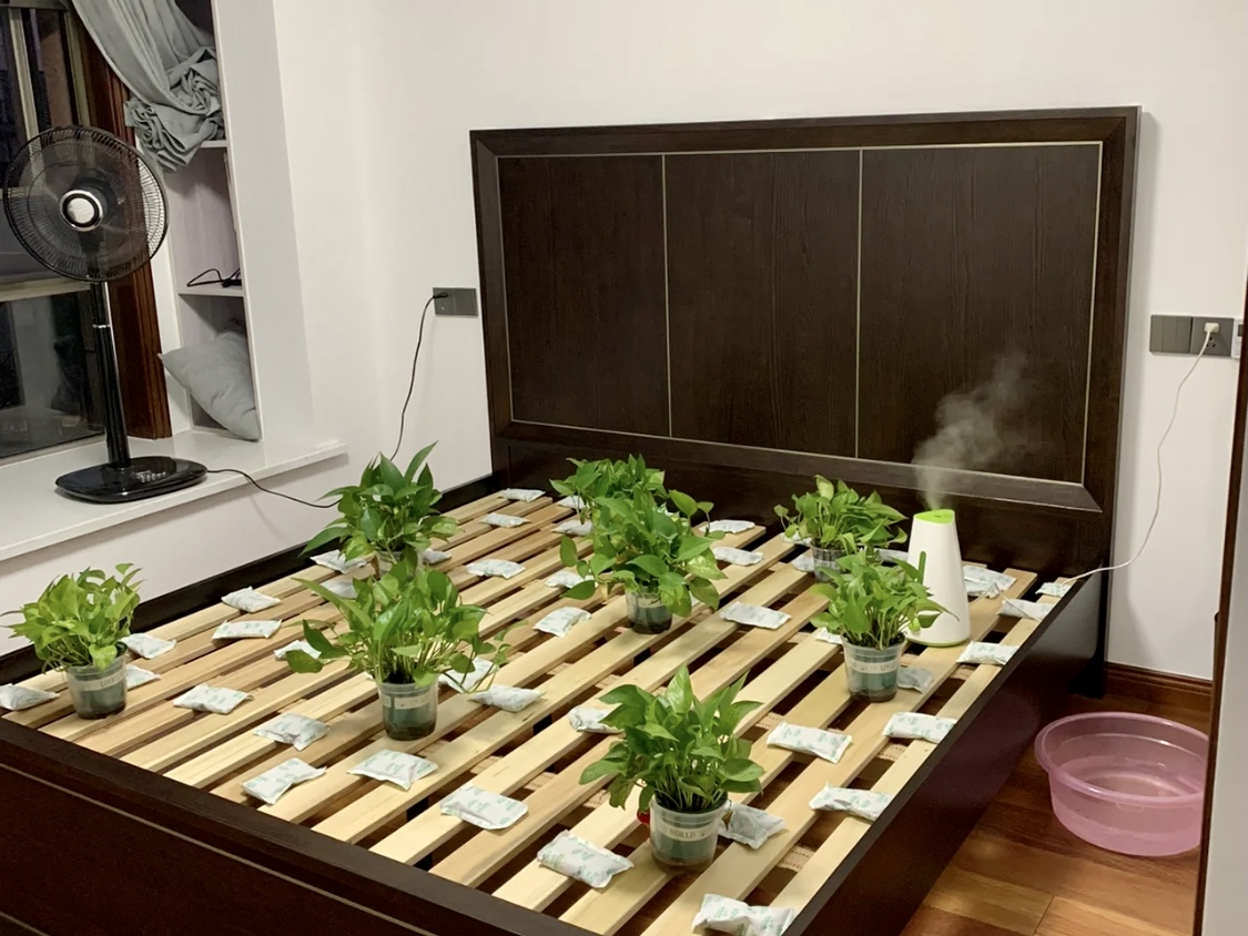 綠植、炭包對甲醛的治理有限