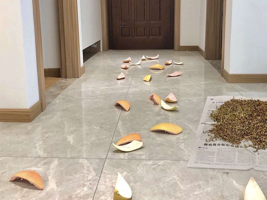 這些東西無法去除甲醛！