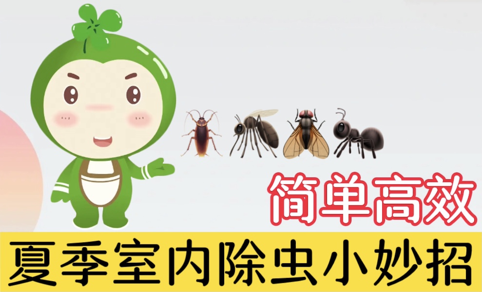 夏季室內(nèi)除蟲小妙招，簡單高效