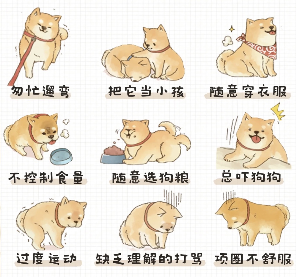 養(yǎng)綠植寵物，這些方面要注意